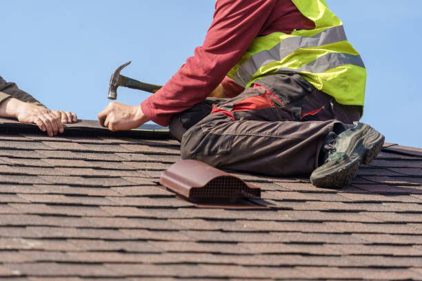 Best Roof Gutter Cleaning  in South Hutchinson, KS